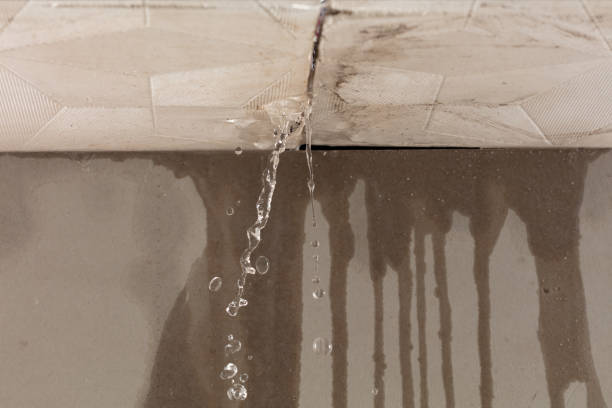 Professional Water Damage Repair technician working in Montpelier, IN